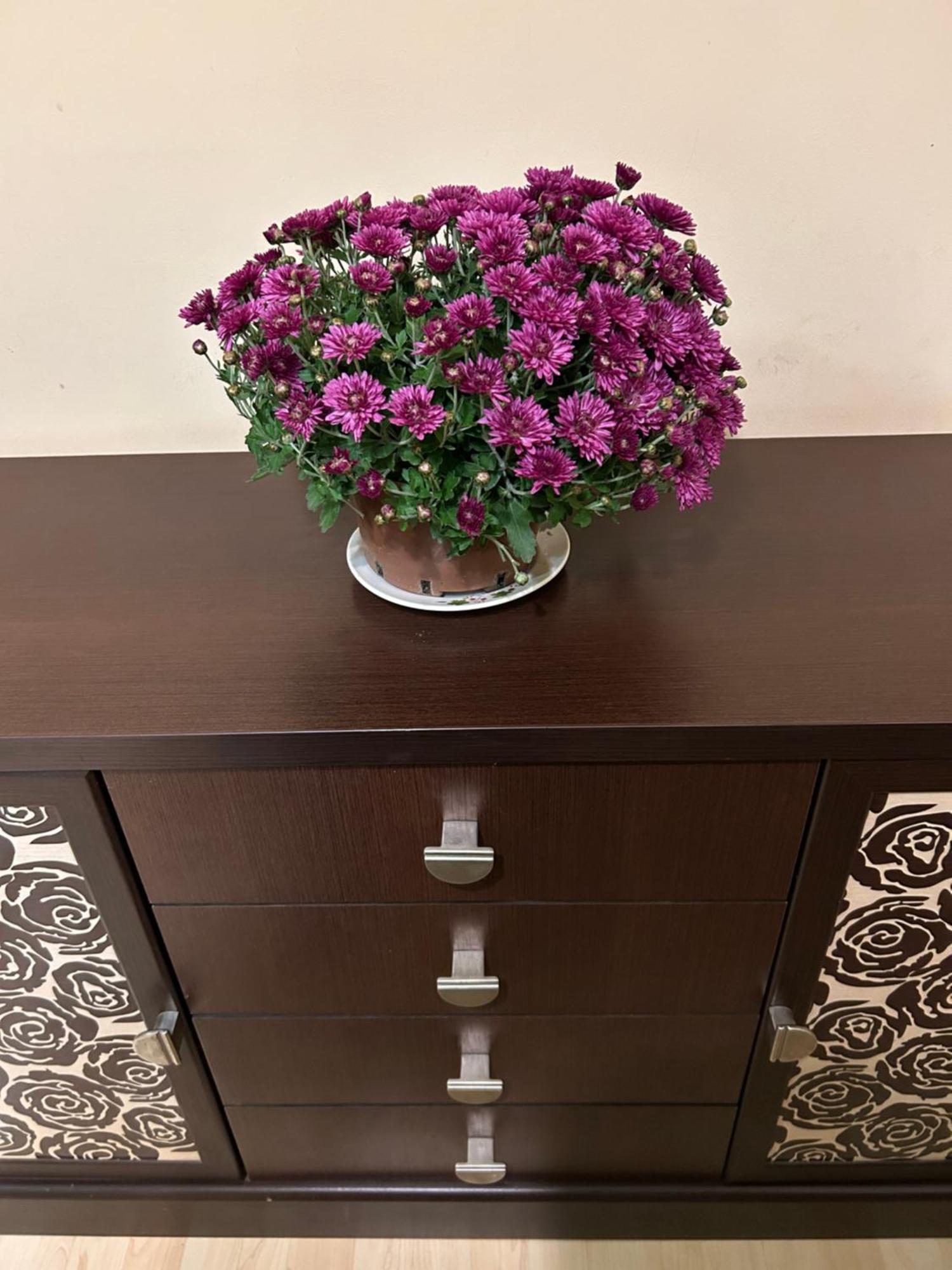 Three Bedroom Stepana Bandery Street Ρίβνε Εξωτερικό φωτογραφία